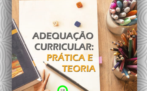 ADEQUAÇÃO CURRICULAR: PRÁTICA E TEORIA