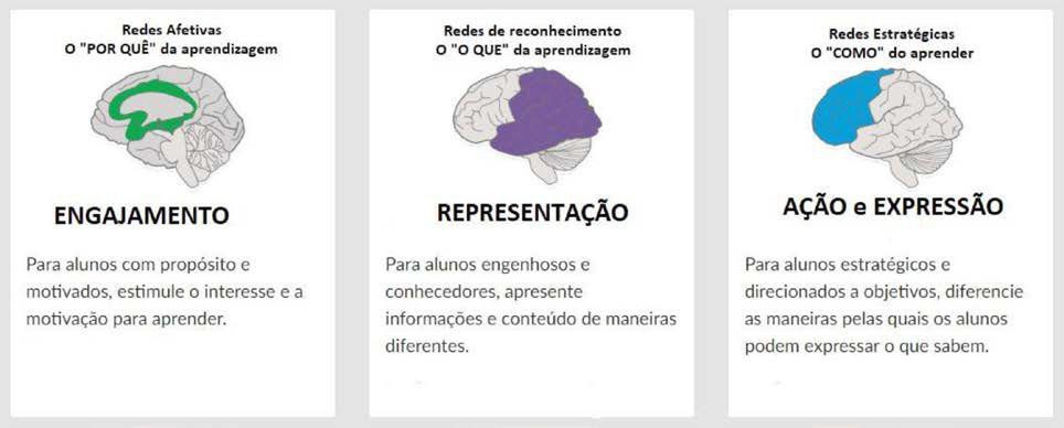 LIVE: DESENHO UNIVERSAL PARA A APRENDIZAGEM: EDUCAÇÃO PARA TODOS E PRÁTICAS  DE ENSINO INCLUSIVAS 